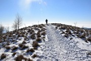 Monte Palanzone – Triangolo Lariano 21 gennaio 2017 - FOTOGALLERY